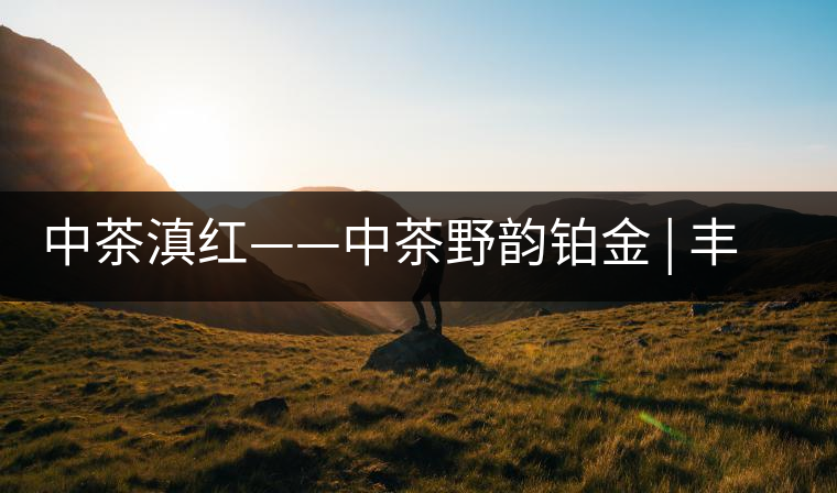 中茶滇紅——中茶野韻鉑金 | 豐苗挺秀，山野花香