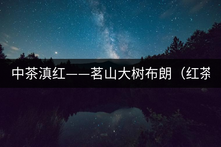 中茶滇紅——茗山大樹(shù)布朗（紅茶）-苦后回甘