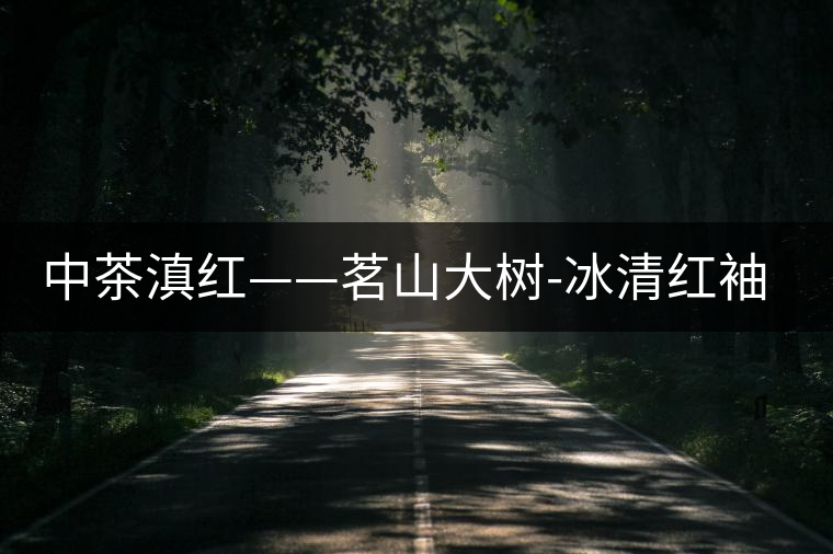 中茶滇紅——茗山大樹-冰清紅袖1號 中茶滇紅——茗山大樹-冰清紅袖1號