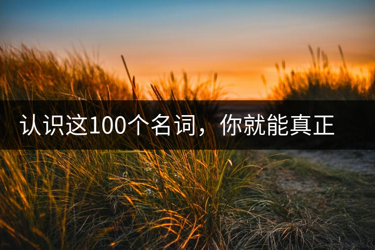 認(rèn)識(shí)這100個(gè)名詞，你就能真正了解普洱茶？