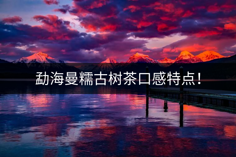 勐海曼糯古樹茶口感特點(diǎn)！