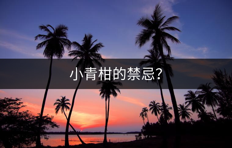 小青柑的禁忌？