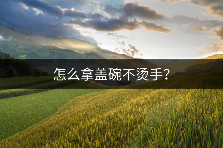 怎么拿蓋碗不燙手？