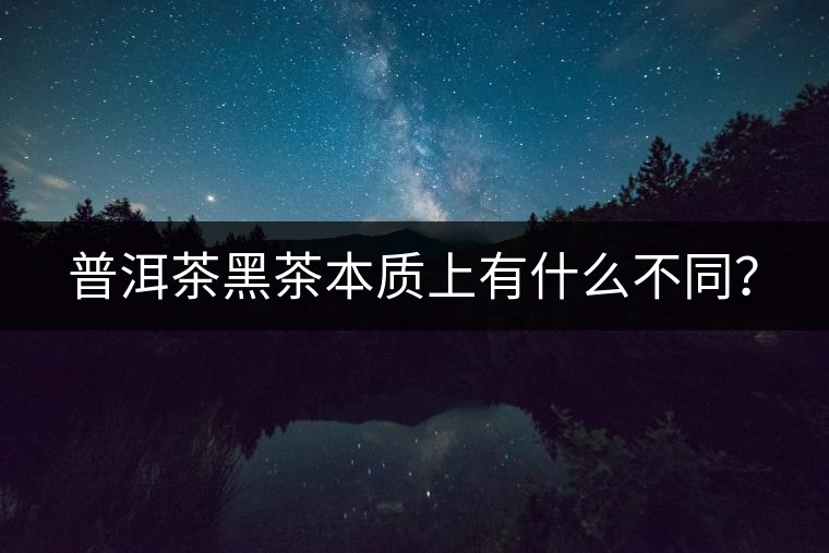 普洱茶黑茶本質(zhì)上有什么不同？