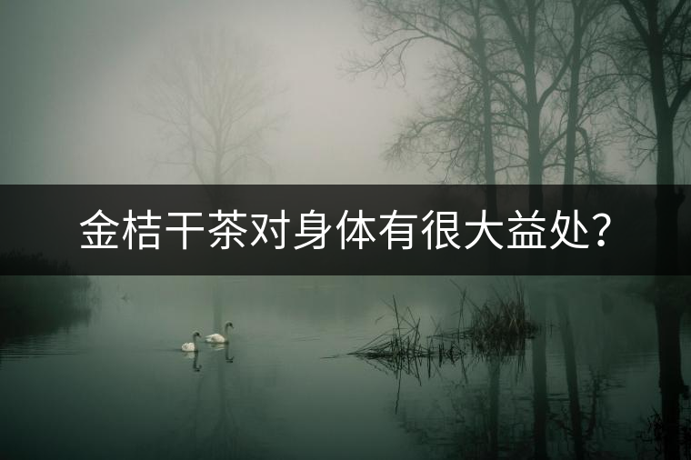 金桔干茶對身體有很大益處？