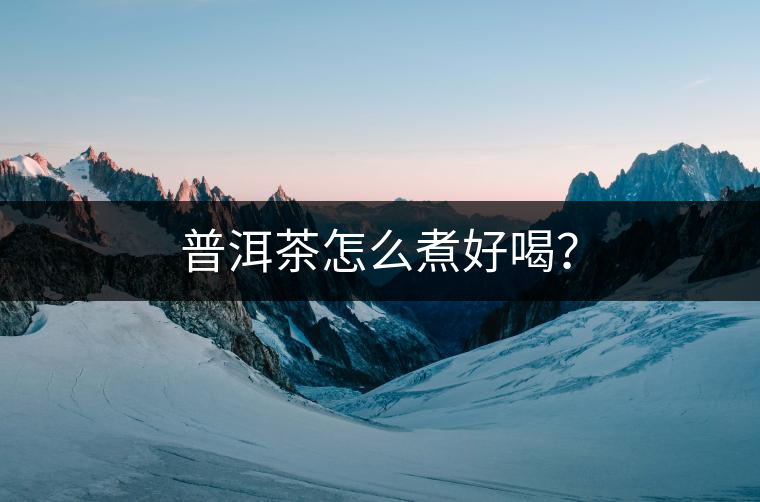 普洱茶怎么煮好喝？