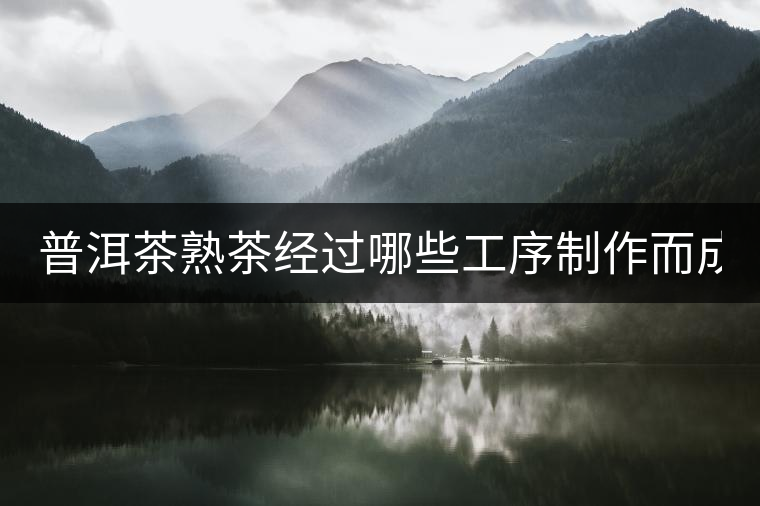 普洱茶熟茶經(jīng)過哪些工序制作而成？