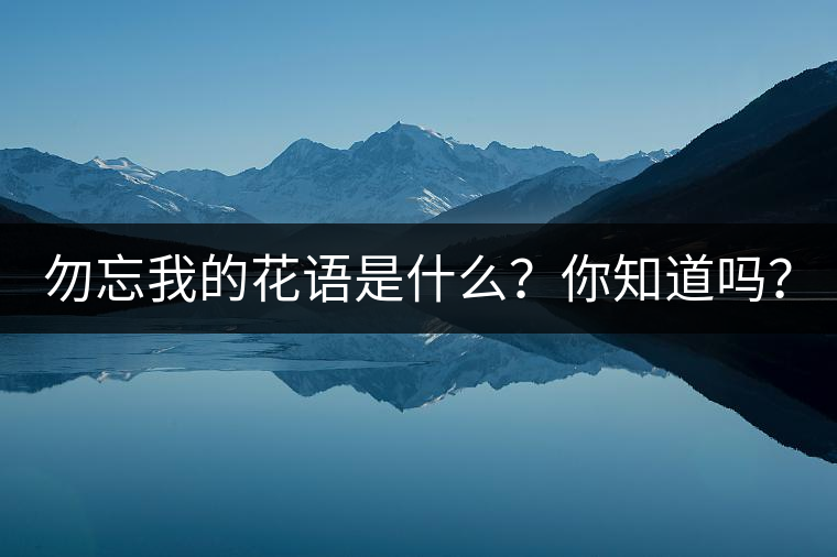 勿忘我的花語是什么？你知道嗎？
