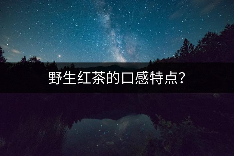 野生紅茶的口感特點？