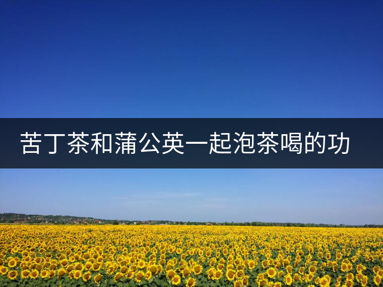 苦丁茶和蒲公英一起泡茶喝的功效 苦丁茶和蒲公英一起泡茶喝的功效