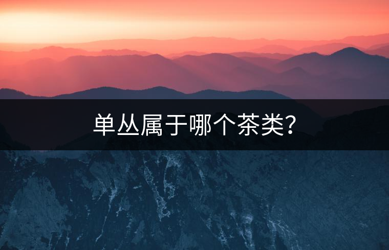 單叢屬于哪個茶類？