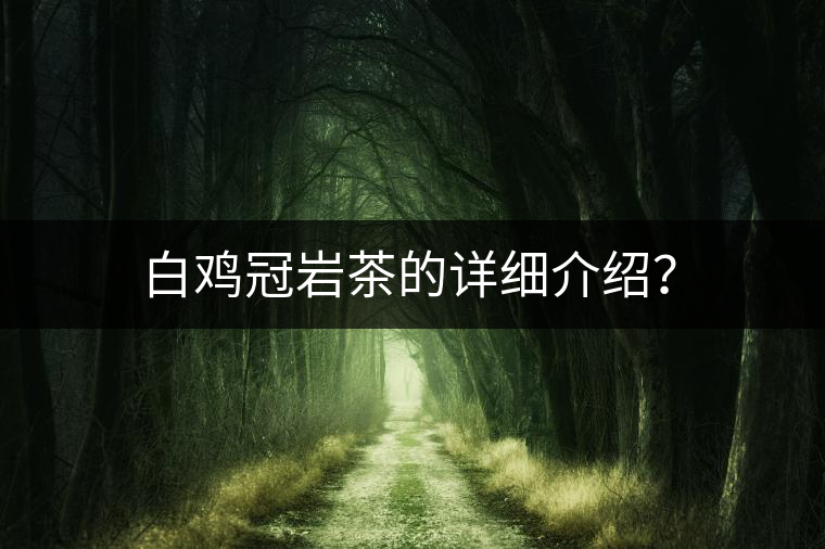 白雞冠巖茶的詳細(xì)介紹？
