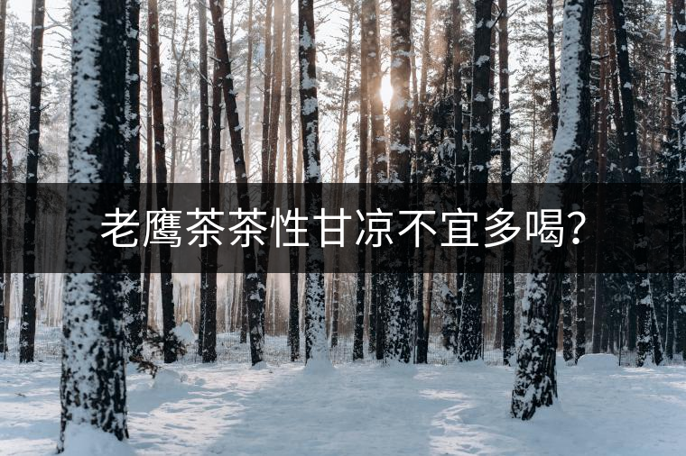 老鷹茶茶性甘涼不宜多喝？