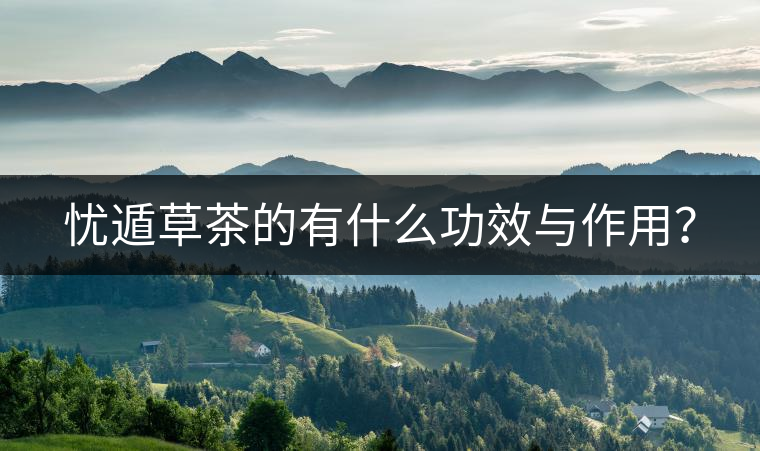 憂遁草茶的有什么功效與作用？