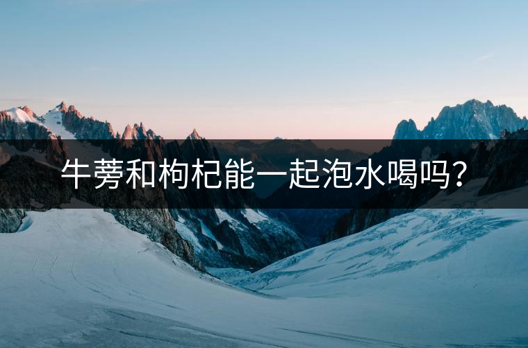 牛蒡和枸杞能一起泡水喝嗎？