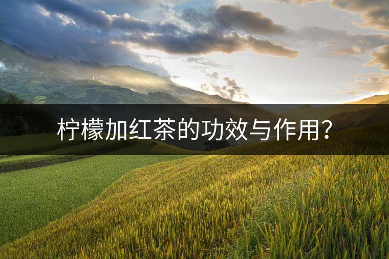 檸檬加紅茶的功效與作用？