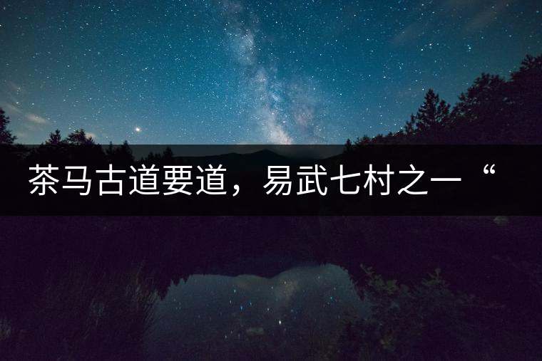 茶馬古道要道，易武七村之一“張家灣”古茶園