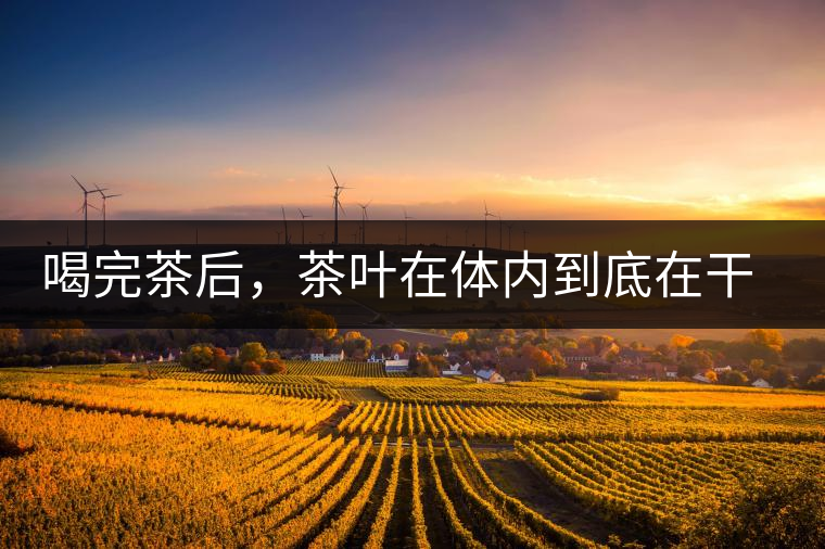 喝完茶后，茶葉在體內(nèi)到底在干嘛，游走的茶水