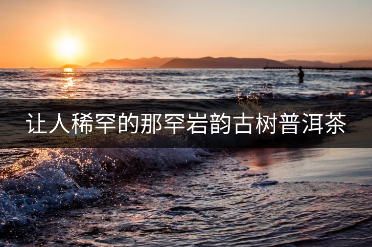 讓人稀罕的那罕巖韻古樹(shù)普洱茶