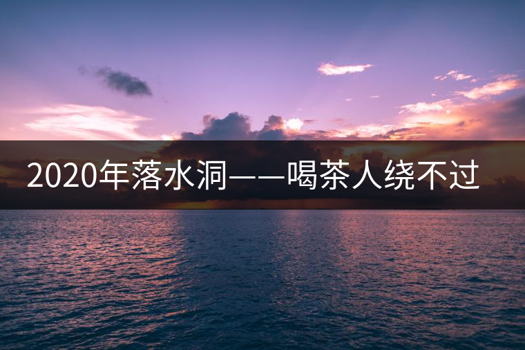 2020年落水洞——喝茶人繞不過的溫柔鄉(xiāng)！-易武中聘號