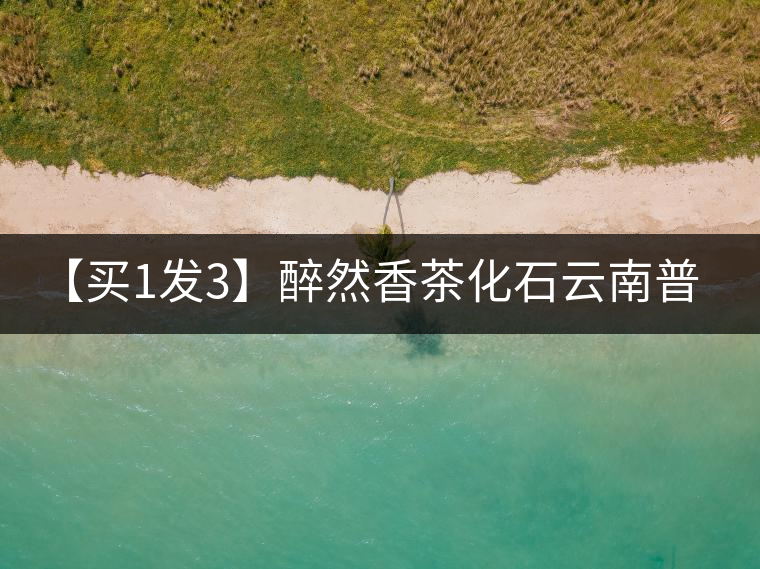 【買1發(fā)3】醉然香茶化石云南普洱茶碎銀子古樹(shù)茶糯米香茶葉共375g 【買1發(fā)3】醉然香茶化石云南普洱茶碎銀子古樹(shù)茶糯米香茶葉共375g