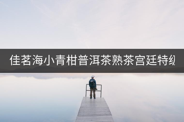 佳茗海小青柑普洱茶熟茶宮廷特級(jí)新會(huì)桔橘陳皮古樹普洱茶葉600g