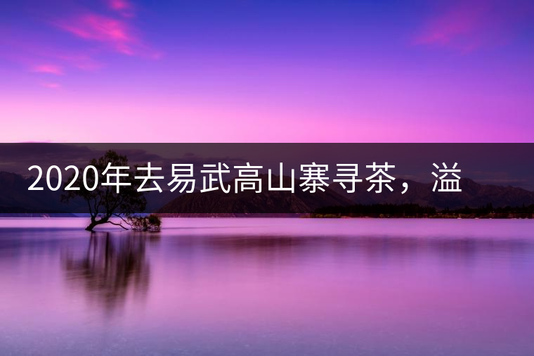 2020年去易武高山寨尋茶，溢滿茶香的古樹寨子-易武中聘號