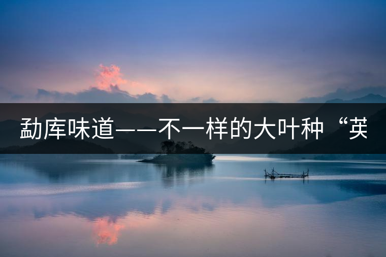 勐庫味道——不一樣的大葉種“英豪” 勐庫味道——不一樣的大葉種“英豪”