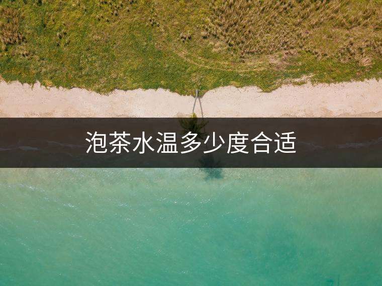 泡茶水溫多少度合適