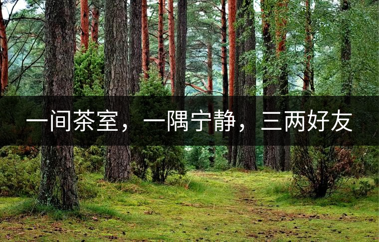 一間茶室，一隅寧?kù)o，三兩好友