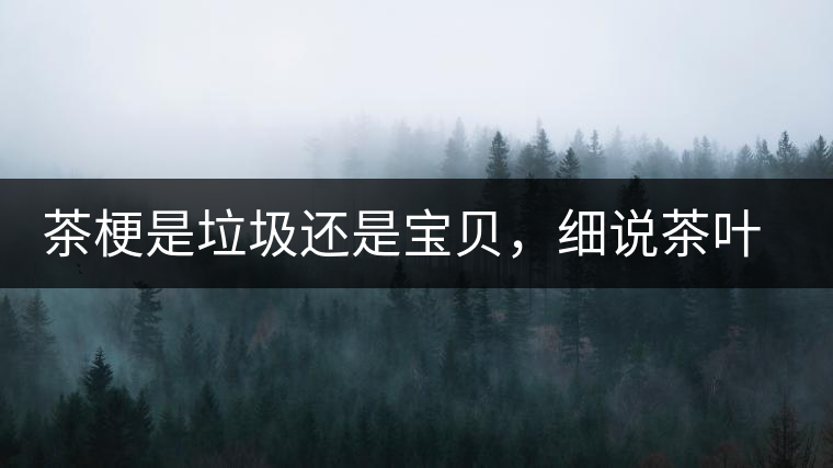 茶梗是垃圾還是寶貝，細(xì)說茶葉的那些梗