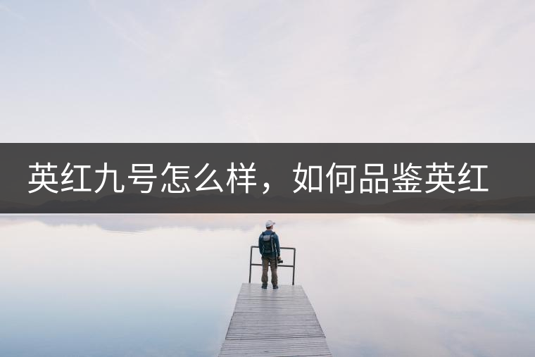 英紅九號怎么樣，如何品鑒英紅九號紅茶