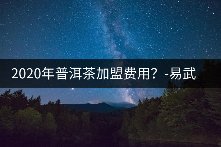 2020年普洱茶加盟費(fèi)用？-易武中聘號(hào)
