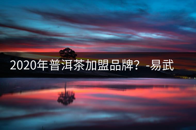 2020年普洱茶加盟品牌？-易武中聘號