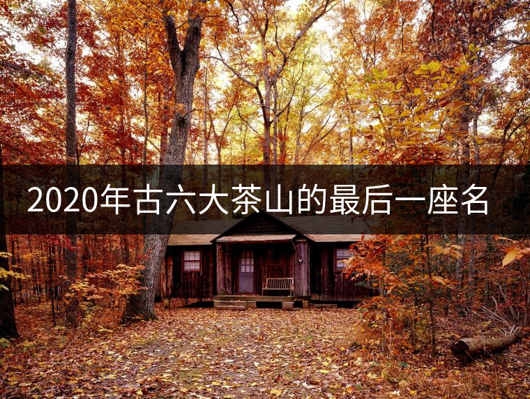 2020年古六大茶山的最后一座名山——攸樂(lè)山。-易武中聘號(hào)