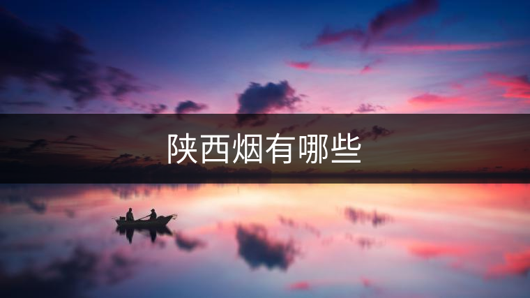 陜西煙有哪些