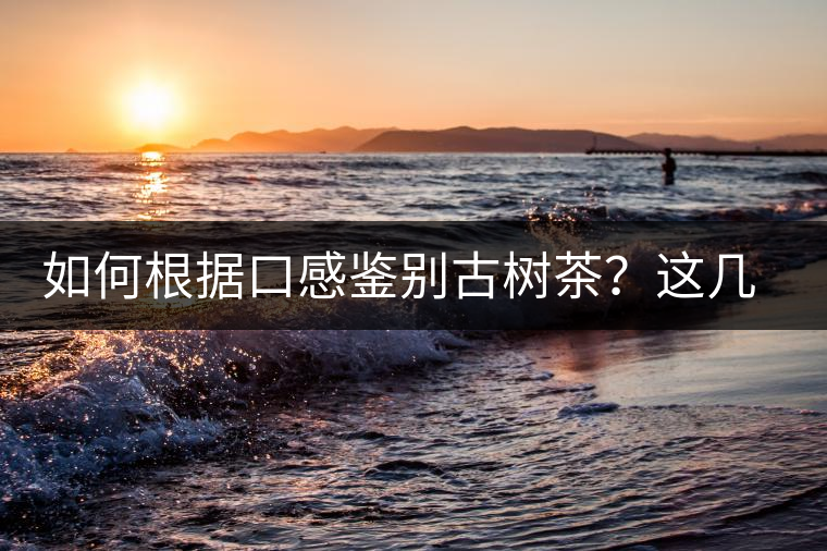 如何根據(jù)口感鑒別古樹茶？這幾個技巧值得收藏