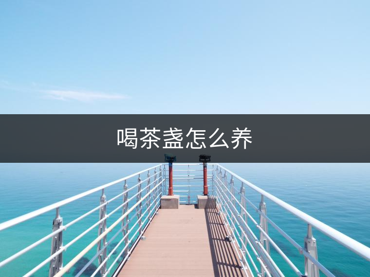 喝茶盞怎么養(yǎng)