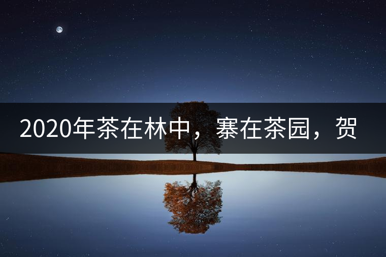 2020年茶在林中，寨在茶園，賀開(kāi)古樹(shù)茶-易武中聘號(hào)