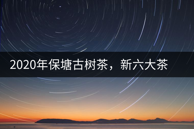 2020年保塘古樹茶，新六大茶山之勐宋茶佼佼者-易武中聘號