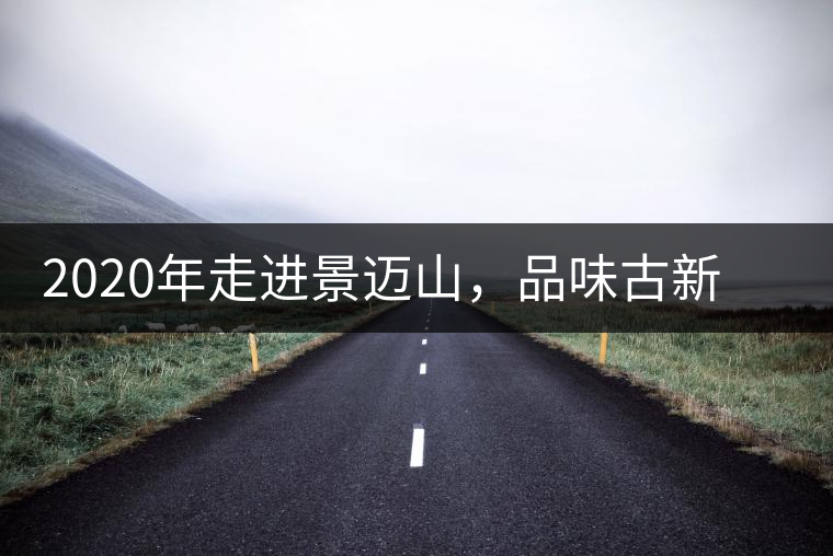 2020年走進景邁山，品味古新六大茶山古樹茶之韻-易武中聘號