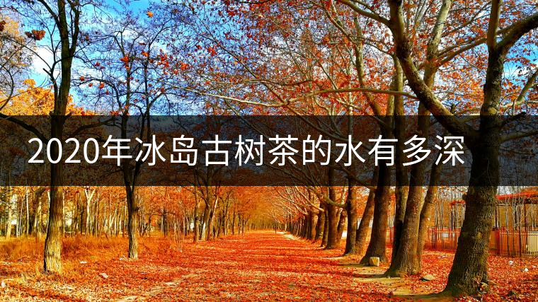 2020年冰島古樹茶的水有多深？別被蒙在鼓里啦-易武中聘號(hào)