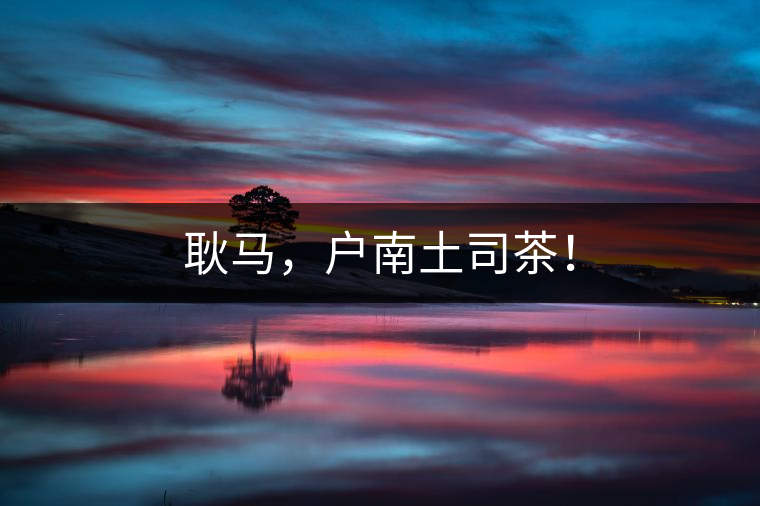 耿馬，戶南土司茶！