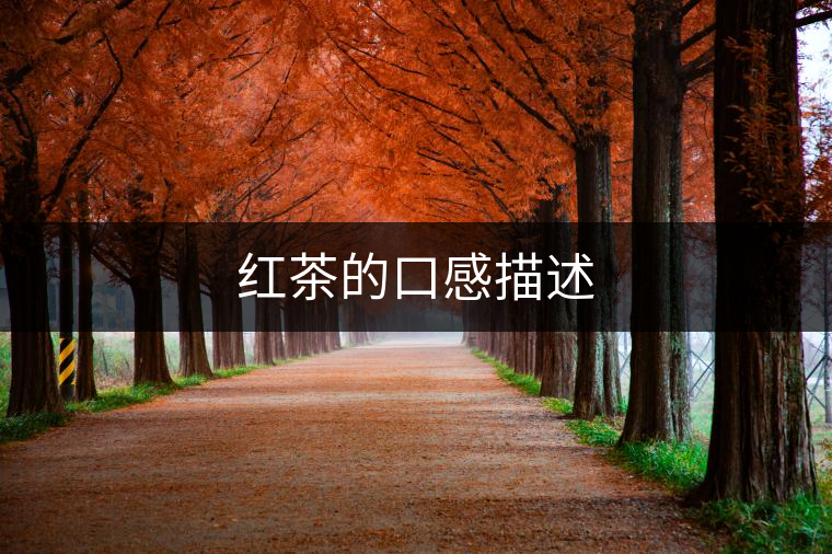 紅茶的口感描述 紅茶的口感描述