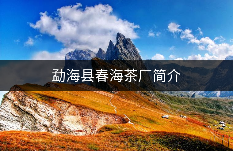勐?？h春海茶廠簡介