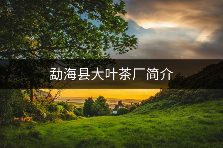 勐?？h大葉茶廠簡介
