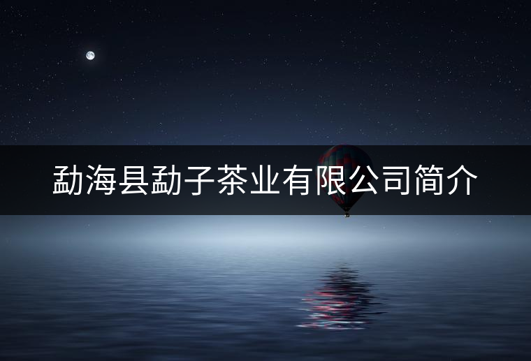 勐?？h勐子茶業(yè)有限公司簡介