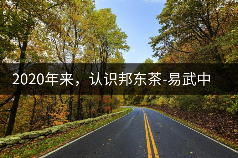 2020年來，認(rèn)識邦東茶-易武中聘號