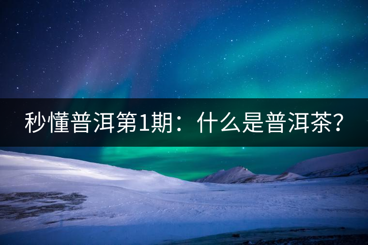 秒懂普洱第1期：什么是普洱茶？