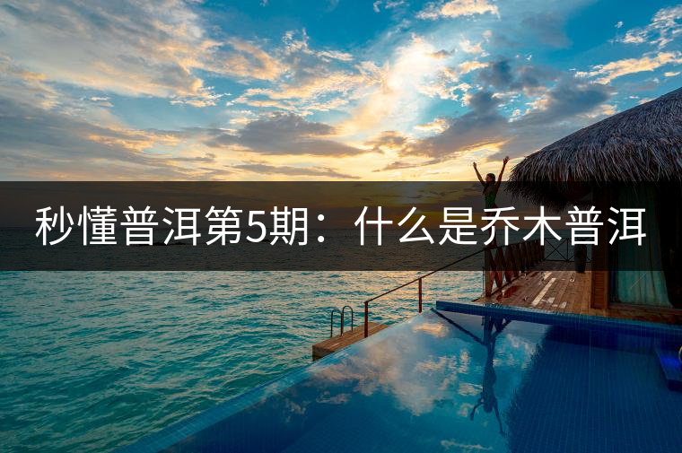 秒懂普洱第5期：什么是喬木普洱茶？